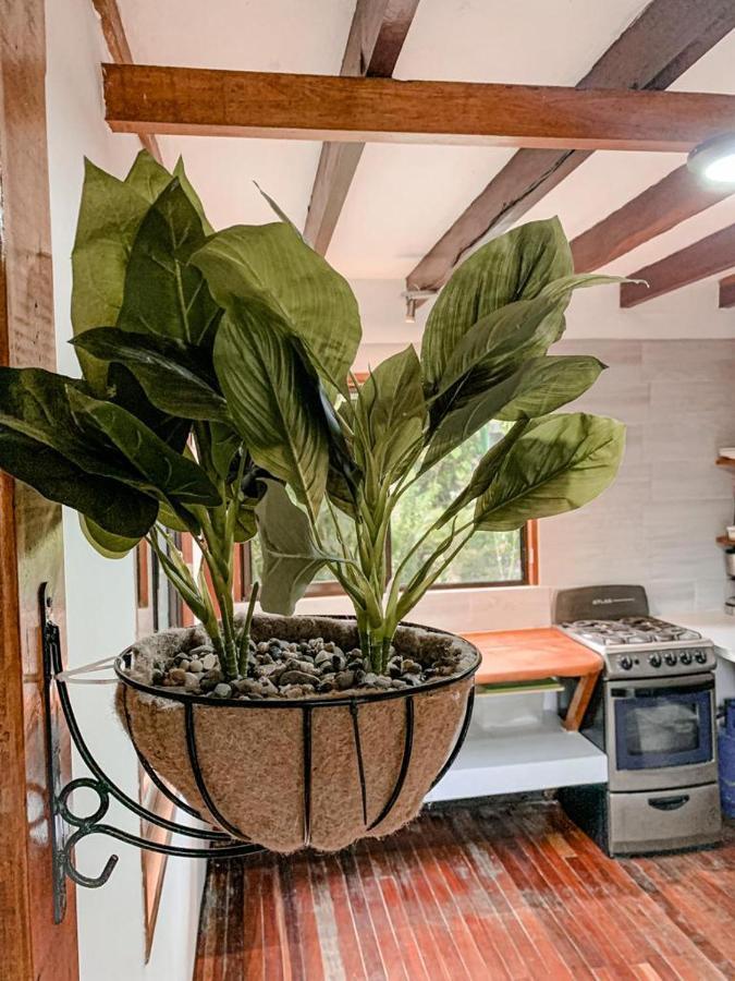 Cabinas Montesol Puerto Viejo de Talamanca 외부 사진