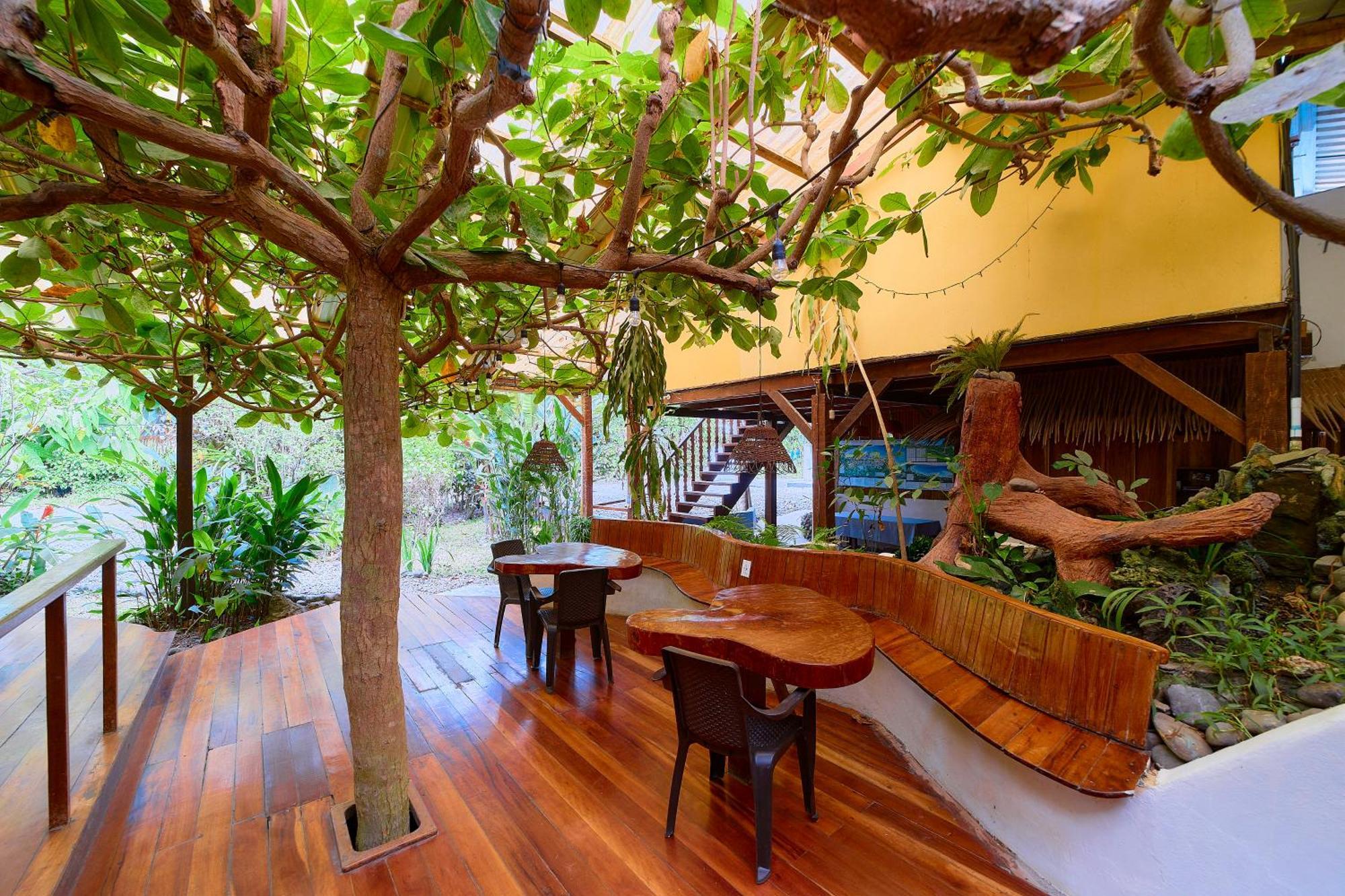 Cabinas Montesol Puerto Viejo de Talamanca 외부 사진
