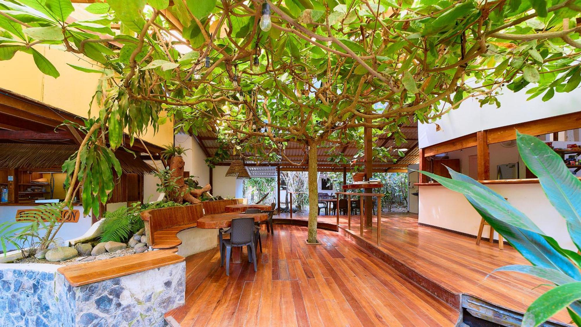 Cabinas Montesol Puerto Viejo de Talamanca 외부 사진