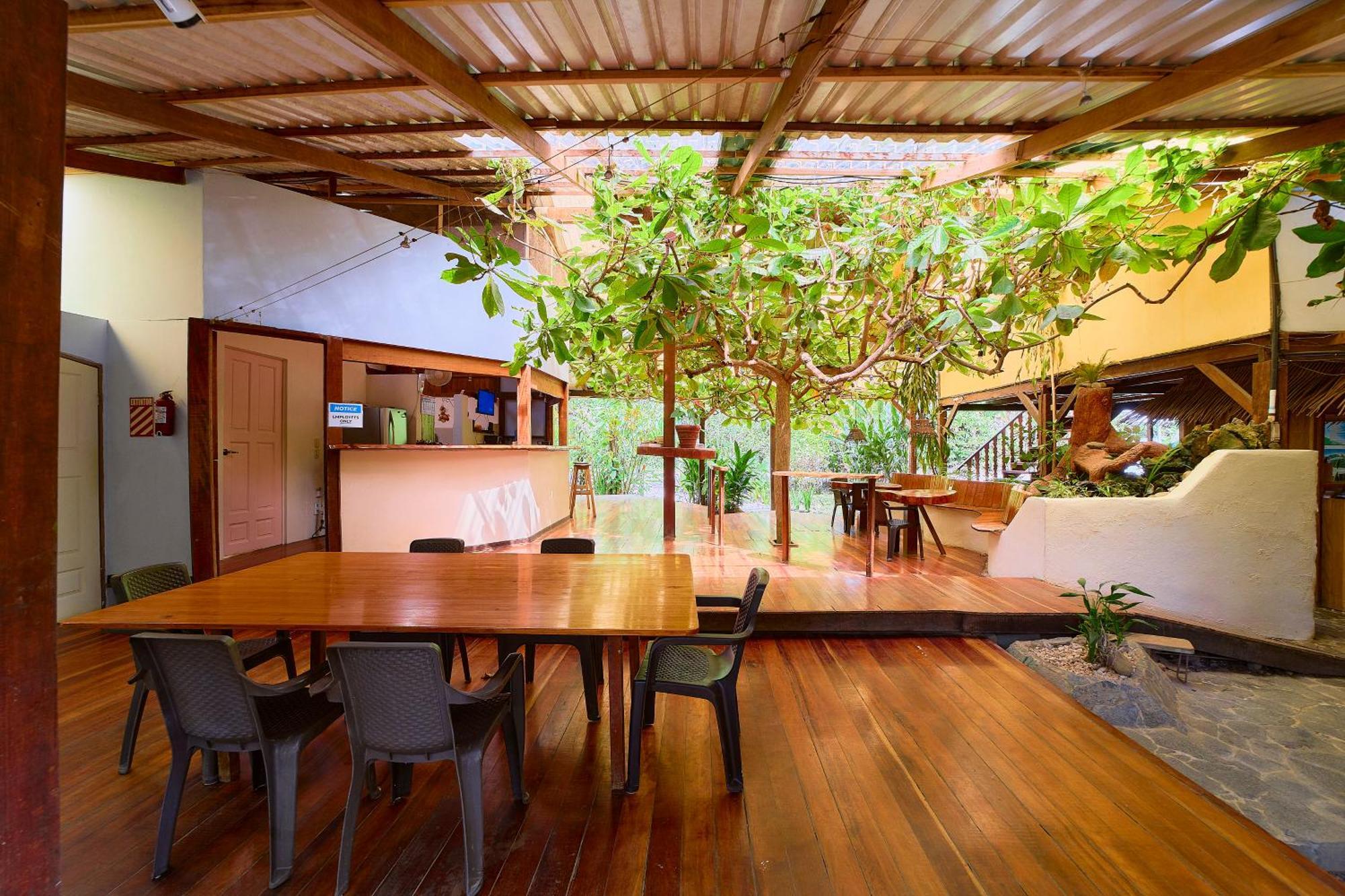 Cabinas Montesol Puerto Viejo de Talamanca 외부 사진
