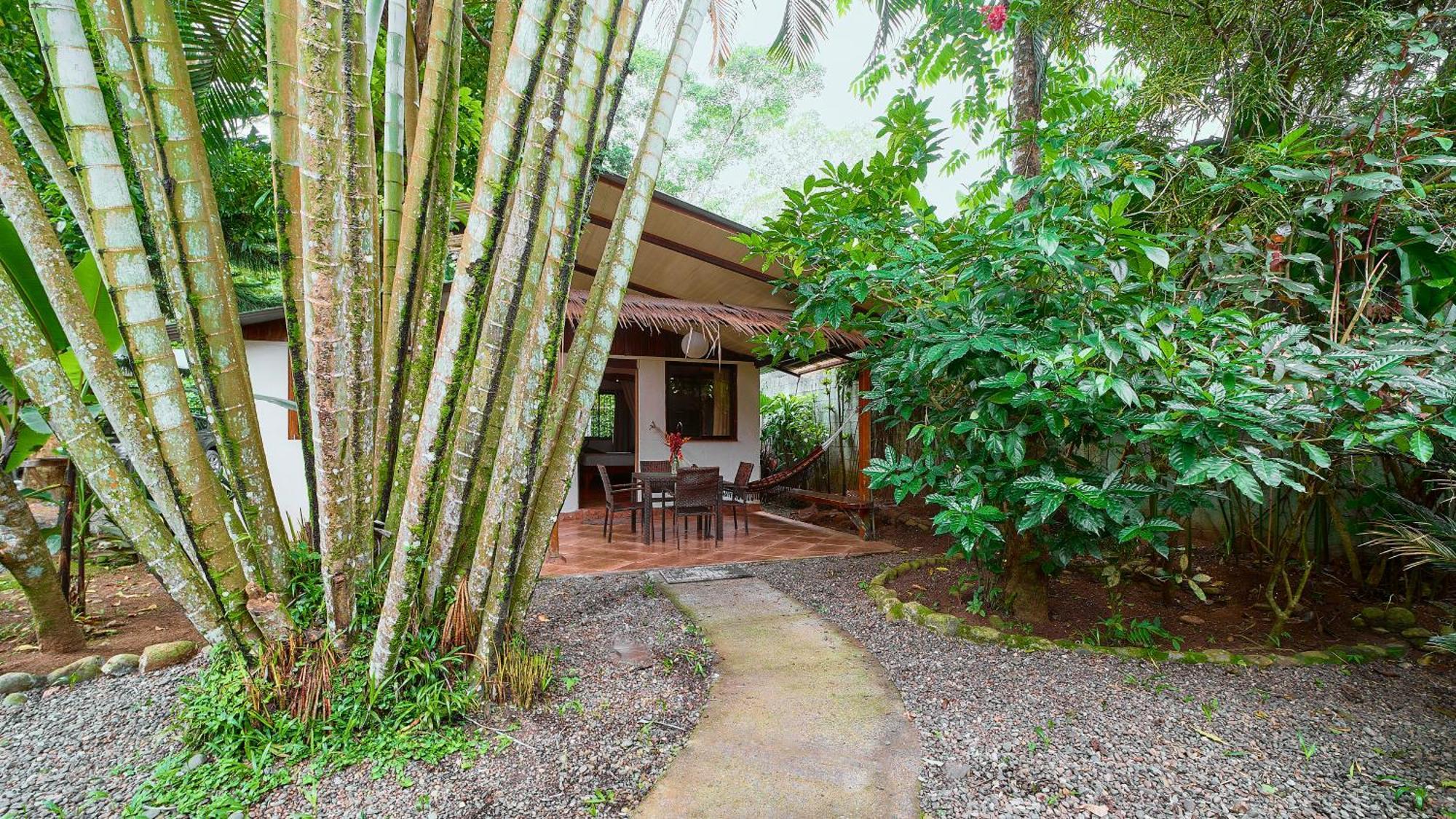 Cabinas Montesol Puerto Viejo de Talamanca 외부 사진