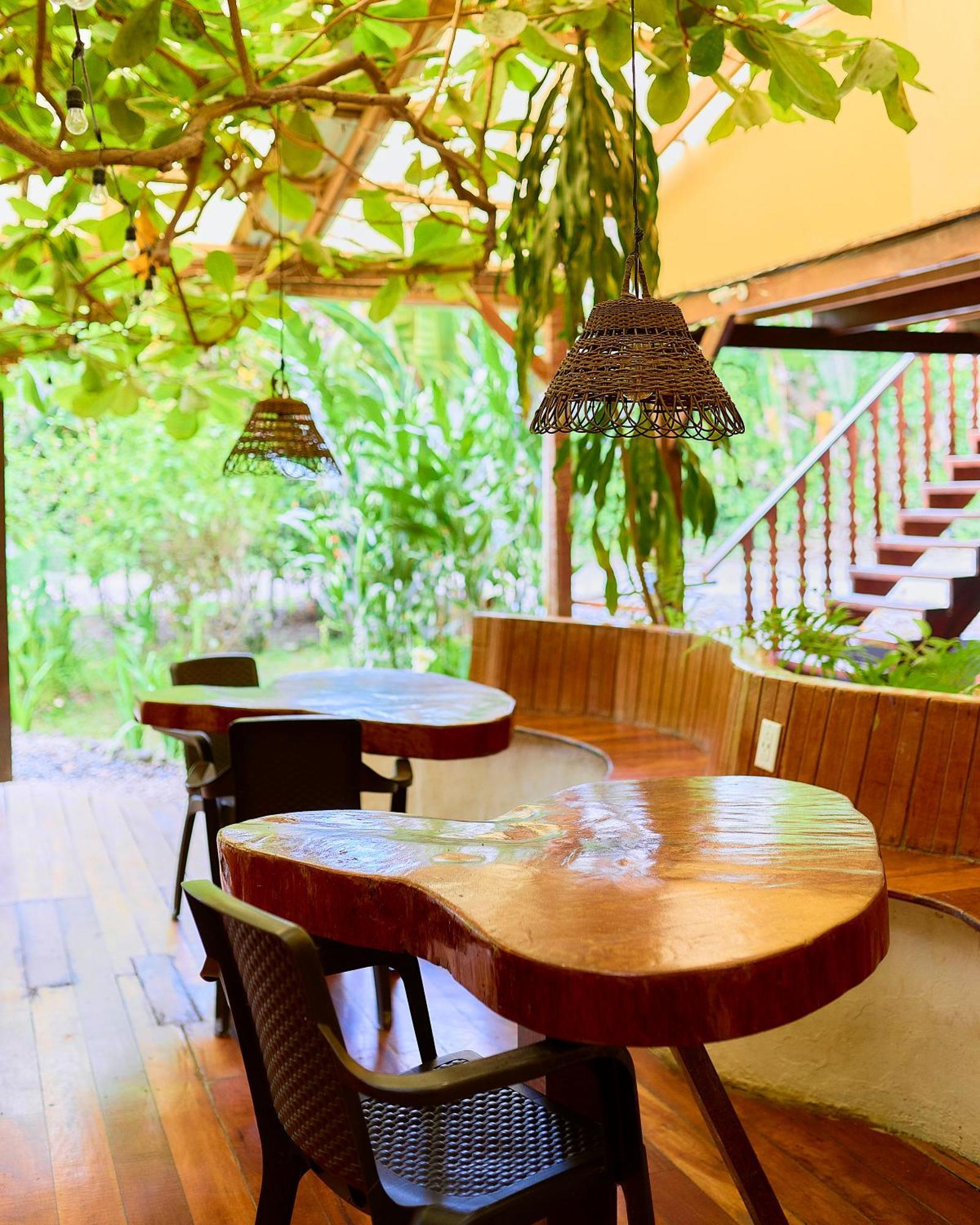 Cabinas Montesol Puerto Viejo de Talamanca 외부 사진